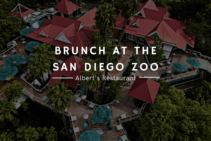 Albert’s San Diego Zoo Brunch - Julia Vaness